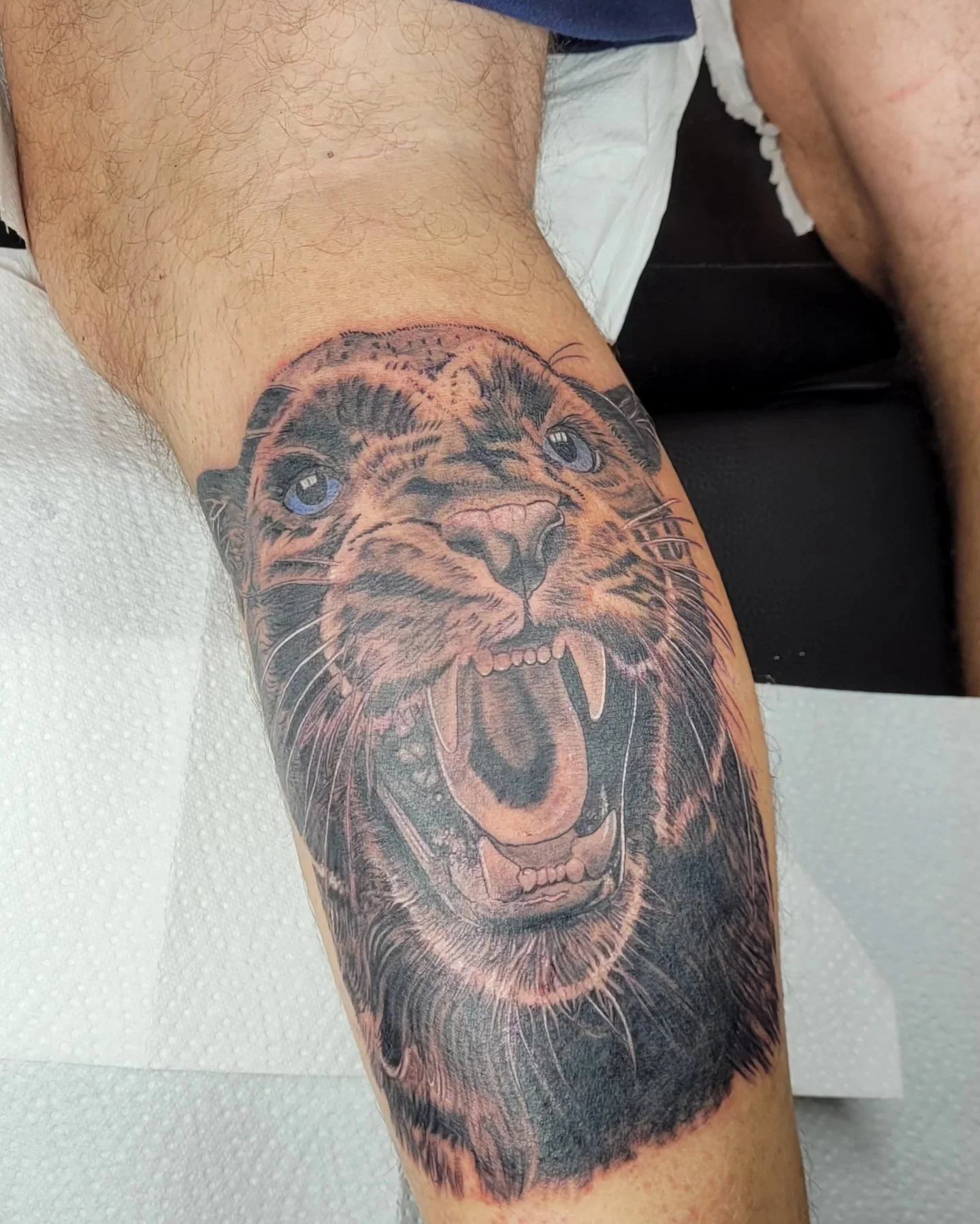 Tatouage réaliste d'une panthère noire rugissante aux yeux bleus sur le mollet, noir et gris, réalisé par Jean-Marie Joullié au salon JMJ Tattoo à Béziers et Sérignan